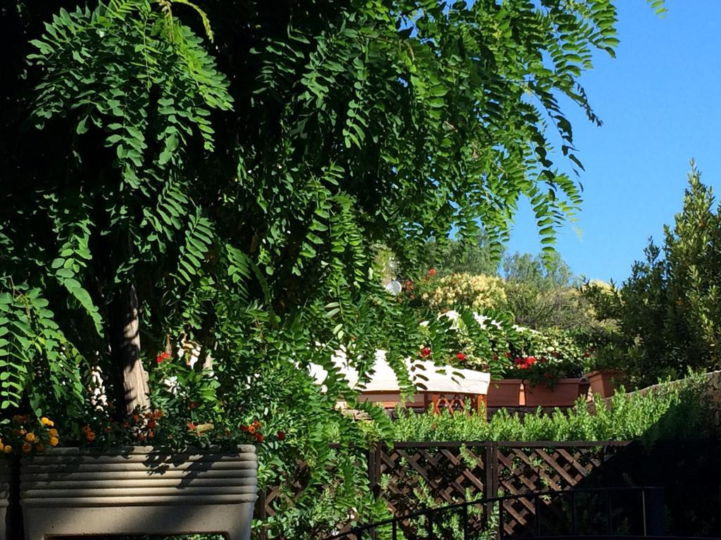 Villa Giuliana Сан Вито ло Капо Стая снимка